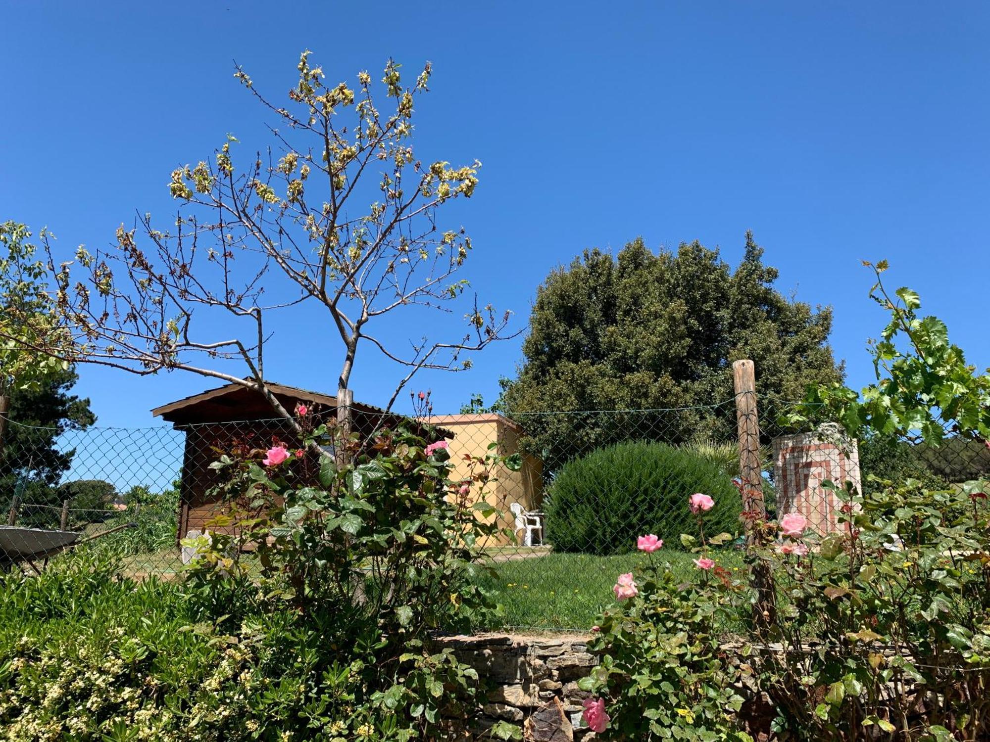 B&B Helga'S Agricampeggio Seùlo Extérieur photo